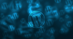 Lire la suite à propos de l’article Les etapes a realiser pour devenir une agence WordPress